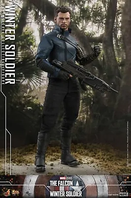 Buy Hot Toys The Falcon And The Winter Soldier Action Figure 1/6 Winter Soldier  • 299£