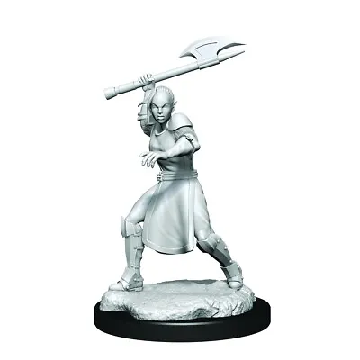 Buy Critical Role Unpainted Miniatures: W1 Half-Elf Echo Knight And Echo Female • 9.66£