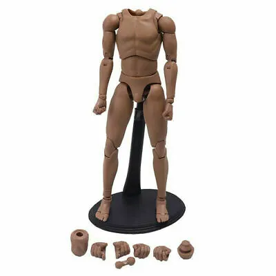 Buy 1/6 Male Action Figure Body Muscular V1-N Model Fit 12'' Phicen Hot Toys TTM19 • 18.94£