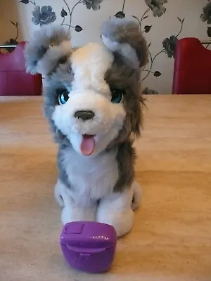 Buy **furreal Friends Ricky The Trick-lovin' Pup Puppy Dog Interactive Pet Toy**vgc • 69.99£