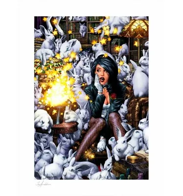 Buy DC Comics Printing - Art Print Zatanna By Jay Anacleto - 46 X 61cm - Non-Lace • 102.84£