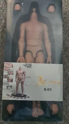 Buy JXtoys JX-01 1/6 Narrow Shoulder Male Figure Body Not Hot Toys Uk S-01  Action • 31£