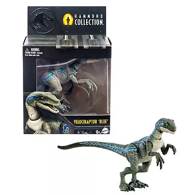 Buy Jurassic World Hammond Collection Velociraptor Blue Dinosaur Figure, Premium Des • 23.15£