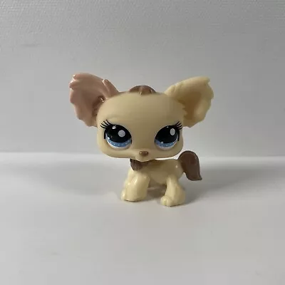 Buy Littlest Pet Shop #1171 Toy | Chihuahua Dog | Official Hasbro • 10.99£