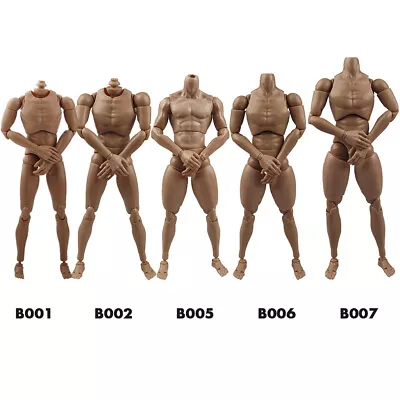 Buy ZYTOYS 1/6 Muscular Male Body Action Figure For 12  Phicen TBLeague Hot Toys • 17.43£