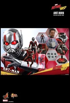 Buy Hot Toys Mms497 Ant-man And The Wasp Ant-man 1/6th Scale Collectible Figure • 221.76£