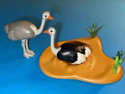 Buy Playmobil 4731 Ostrich Nest With Eggs Zoo Safari Wildlife • 10.99£