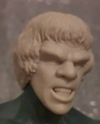 Buy 1/6 Scale Blank Head Headsculpt Lou Ferrigno Custom Hulk Incredible Not Hot Toys • 80£