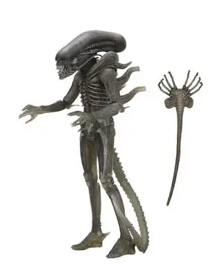 Buy ALIEN 1979 - 40th Anniversary Series 4 - The Alien Giger Action Figure Neca • 50.67£