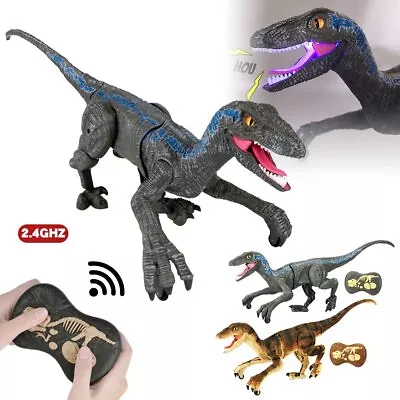 Buy Hot Sale Remote Control Dinosaur Toys QS • 40.33£