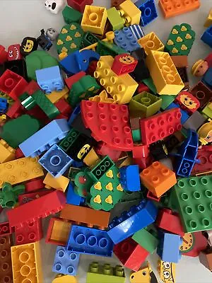 Buy Lego DUPLO Bundle 1/4 Kilo Kg Of Mixed Bricks BLOCKS Includes 1 Figure Or Animal • 9£