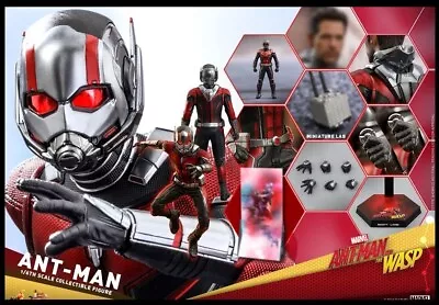 Buy Hot Toys Ant Man Figure From The Ant Man & The Wasp MCU Movie. MMS497. UK Seller • 189£