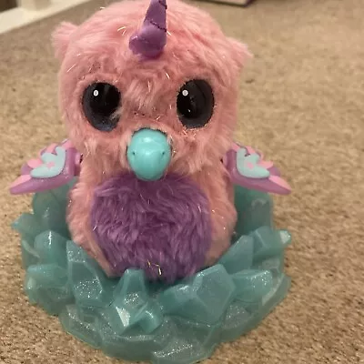 Buy Hatchimals Interactive Pink And Purple  Owl 5  Tall  • 2.20£