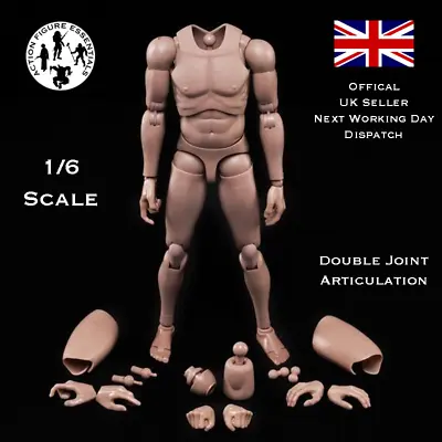 Buy 1/6 Body Action Figure Narrow Shoulder Male Slim Doll Model 12  Hot Toys Scale • 29.99£