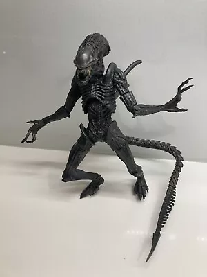 Buy NECA Aliens Vs Predator AvP Warrior Xenomorph Alien Figure • 6.99£