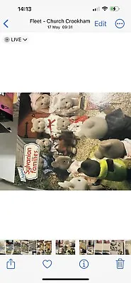 Buy Vintage Sylvanian Families Jigsaw Complete • 3.99£