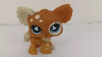 Buy Authentic Littlest Pet Shop Hasbro LPS Chihuahua #528 • 7.99£