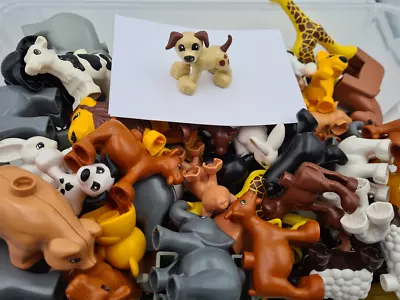 Buy 1 Lego® Duplo Figure Animal Farm Zoo Wild Animals MIXED - MEDIUM • 3.78£