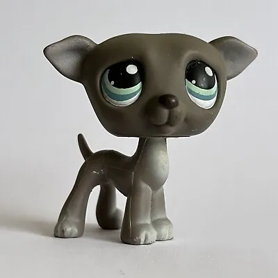 Buy Littlest Pet Shop LPS Grey Greyhound Whippet Dog #319 Hasbro Toy Figure • 10.95£
