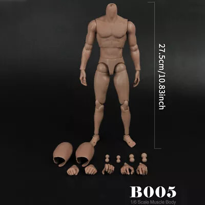 Buy 1/6 Action Figure Body Europe Soldier Muscular 12  Fit Hot Toys Male Head Sculpt • 19.57£