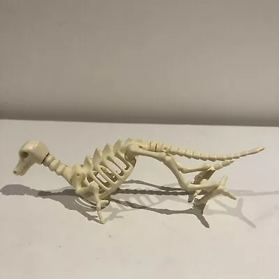 Buy Playmobil Dinosaurs: Dinosaur Skeleton Fossil • 5£