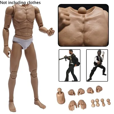 Buy 1/6 Scale Male Muscular Body With Neck 12  Figure Doll Fit Hot Toys Phicen Head • 33.27£