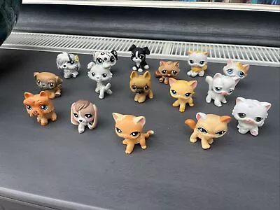 Buy Littlest Pet Shop Dogs And Cats Bundle Hasbro Authentic Cute Animals Rare LPS • 38£