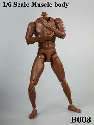 Buy 1/6 Scale Narrow Shoulder Male African Figure Body For 12  TTM18 TTM19 Hot Toys • 19.40£