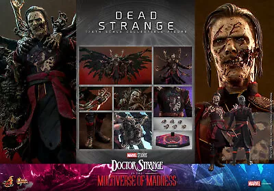 Buy Dpd Express Hot Toys 1/6 Doctor Strange Multiverse Madness Mms654 Dead Strange • 369.99£