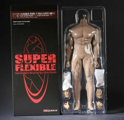 Buy TBLeague M35 1/6 Scale Muscular Figure Arnold Schwarzenegger Not Hot Toys • 74£