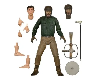 Buy Wolf Man (Color Version) Universal Monsters NECA Ultimate Action Figure • 43.99£