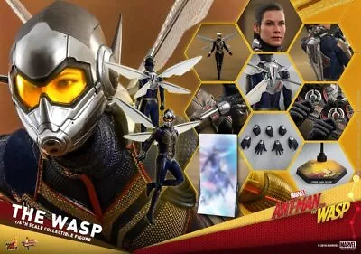 Buy Movie Masterpiece Ant-Man & Wasp 1/6 Scale Wasp Action Figure Hot Toys Ma... • 223.76£