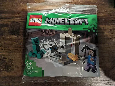 Buy LEGO MINECRAFT - The Dripstone Cavern 30647 - New And Sealed • 6.35£
