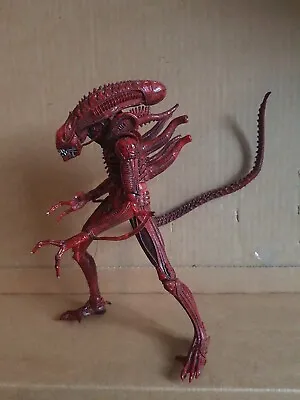 Buy NECA Aliens  Genocide  Red Alien Xenomorph  Figure  • 32.99£