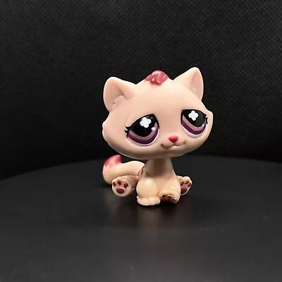 Buy Littlest Pet Shop Tabby Cat Kitten Monopoly Mauve No Number Bonbon LPS Sitting • 7.99£