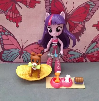 Buy My Little Pony Equestria Girls Twilight Sparkle, Dog & Basket With Accessories  • 12.50£