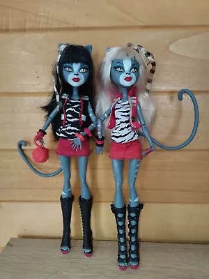 Buy Mattel Monster High Meowlody Doll And Purrsephone • 26.12£