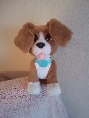 Buy Fur Real Chatty Beagle Dog Talking Interactive Puppy • 10£