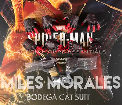 Buy Hot Toys Spider-Man Miles Morales Bodega Hands Wrist Pegs VGM50  1/6 Marvel • 29.95£