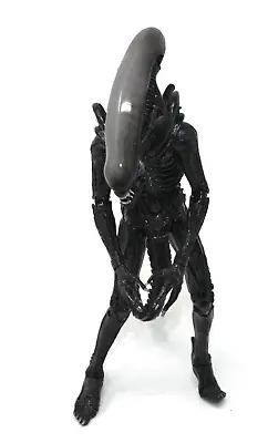 Buy NECA 2019 - Alien - 7  Scale Action Figure - Ultimate 40th Anniversary Big Chap • 29.95£