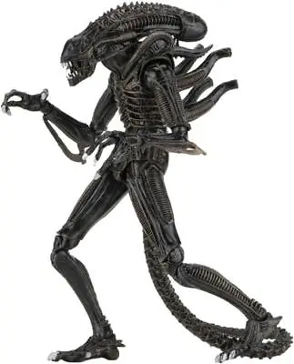 Buy NECA Aliens (1986) Ultimate Alien Warrior (Brown) 7″ Scale Action Figure • 50.72£