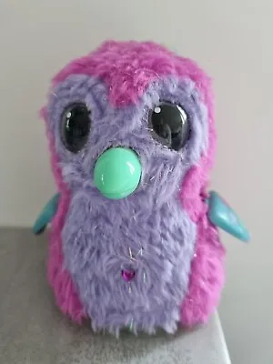 Buy Hatchimals Interactive Pink Lilac & Mint Green Owl Fully Working With Batteries  • 17£