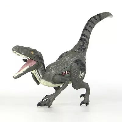 Buy Jurassic World 2015 Hasbro Blue Velociraptor Raptor Dinosaur Toy *DOESN’T STAND* • 9.95£
