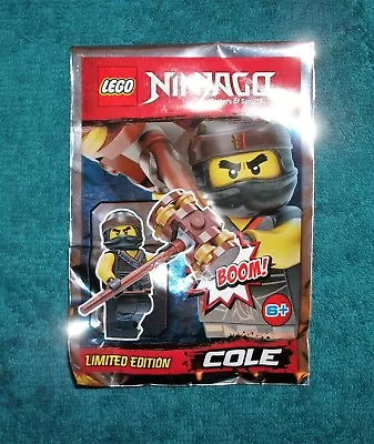 Buy LEGO NINJAGO: Cole Polybag Set 891839 BNSIP • 3.99£