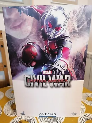 Buy Hot Toys Ant-Man 1/6th Scale Figure  Marvel AVENGERS Civil War  Mms 362 • 199£