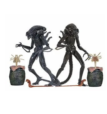 Buy Alien Warrior (Brown Version) Aliens Ultimate Edition NECA • 50£