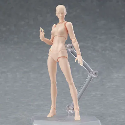 Buy Female Action Figma Archetype Figure Body Toy For Painting Drawing  S120 • 20.99£