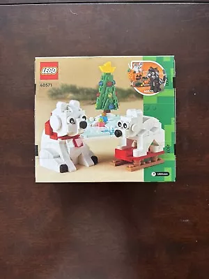 Buy Lego Set No: 40571 Wintertime Polar Bears - Brand New Sealed Box • 0.99£