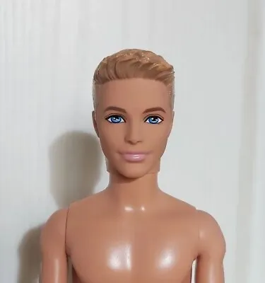 Buy Barbie 2014 Beach Ken Waterplay Doll Dreamhouse Era Blonde BCN27 Mattel Doll  • 10.33£