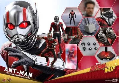 Buy Movie Masterpiece Ant-Man&Wasp Ant-Man 1/6scale Action Figure Hot Toys Ma... • 238.86£
